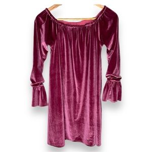Elizabeth Cate Velvet Velour Flare Sleeve Dress Girls Size 14 T
